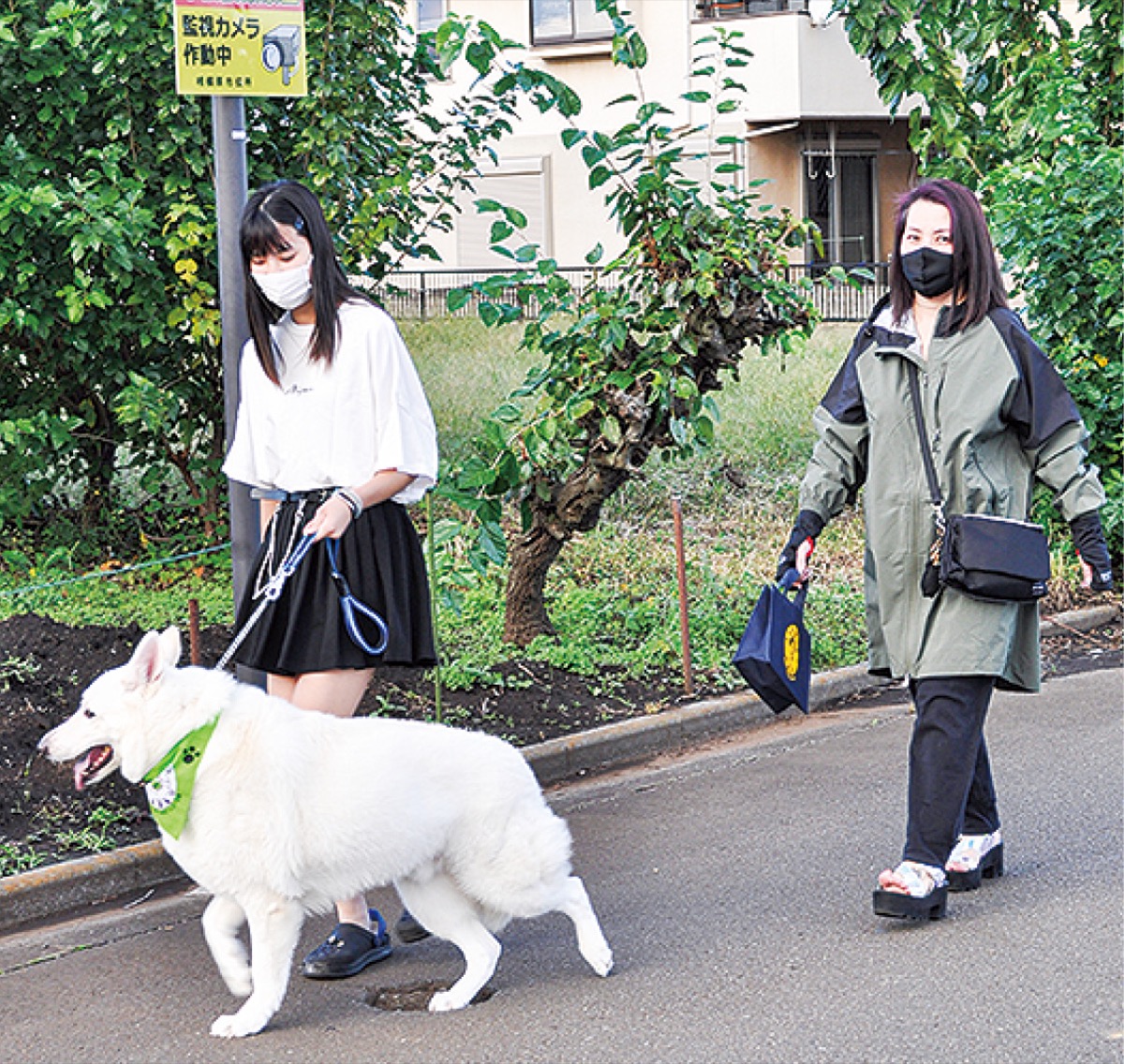 上溝発電動バイク マックの足 に採用 今月契約を締結 さがみはら中央区 タウンニュース