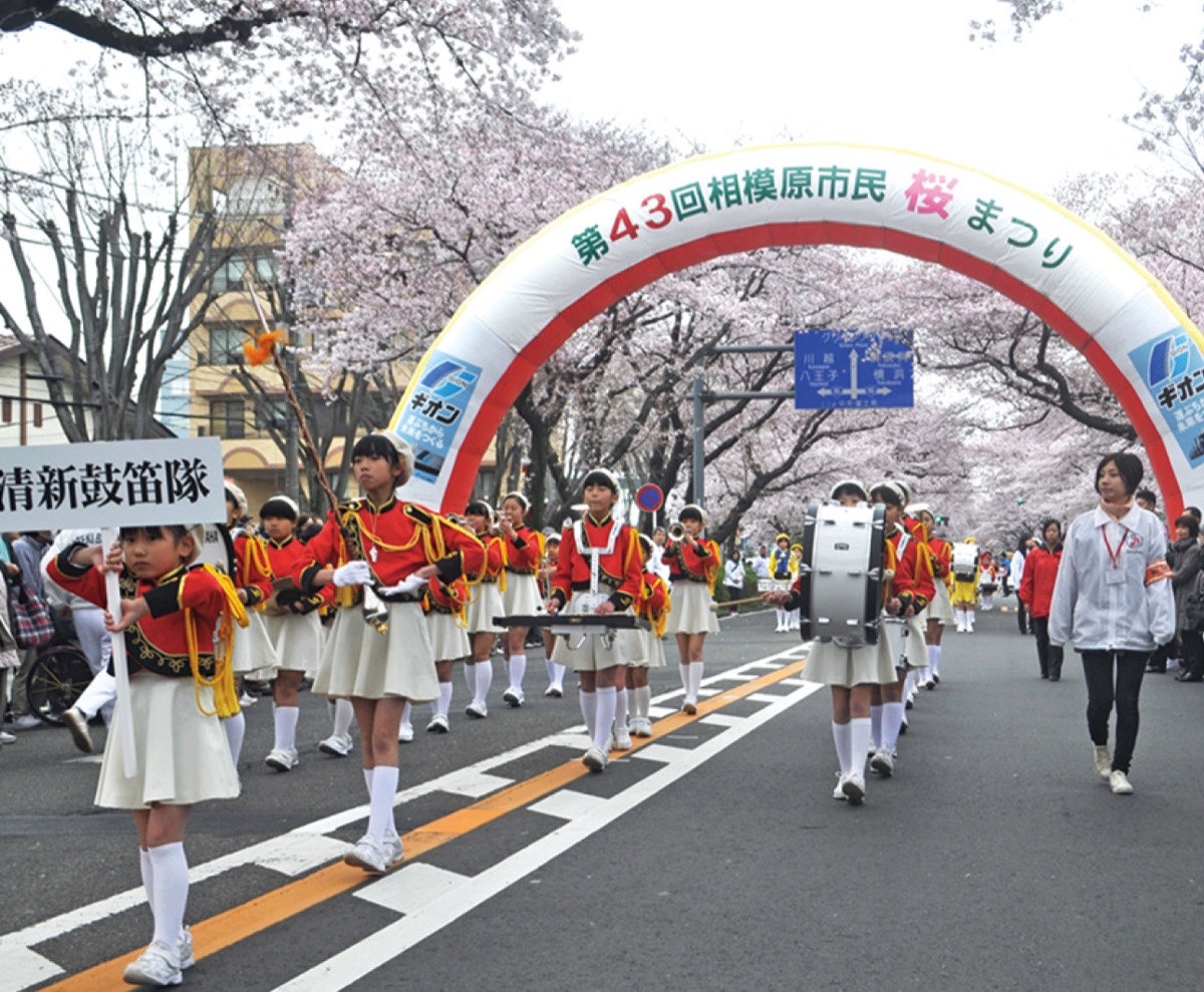 桜まつり 代替行事を模索 来年の通常開催は見送り さがみはら中央区 タウンニュース