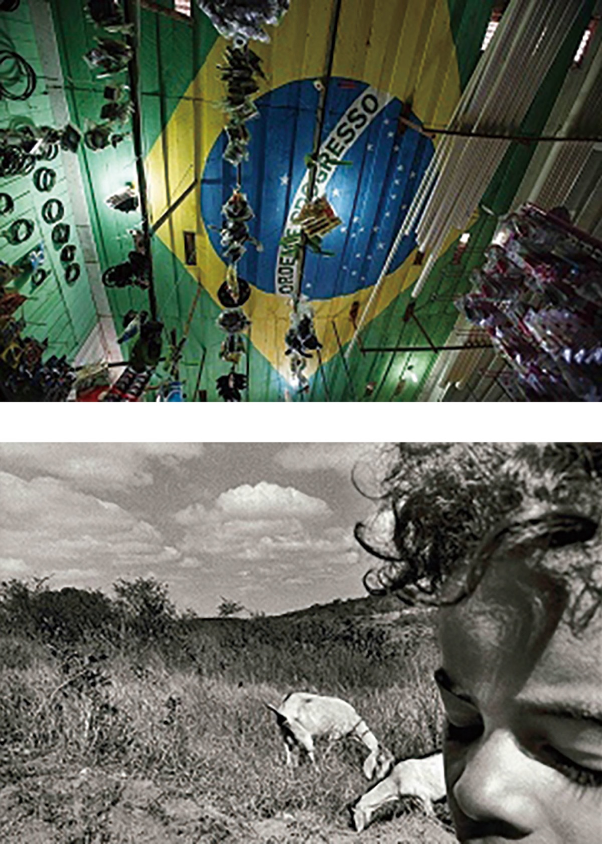 ｢ブラジル現代写真展｣開催