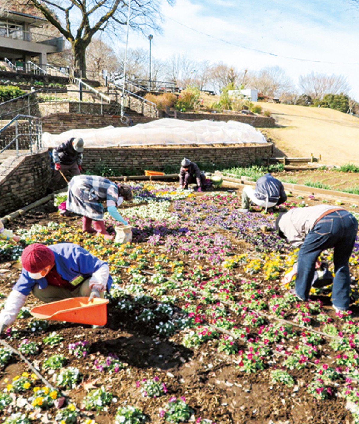公園で楽しく活躍を