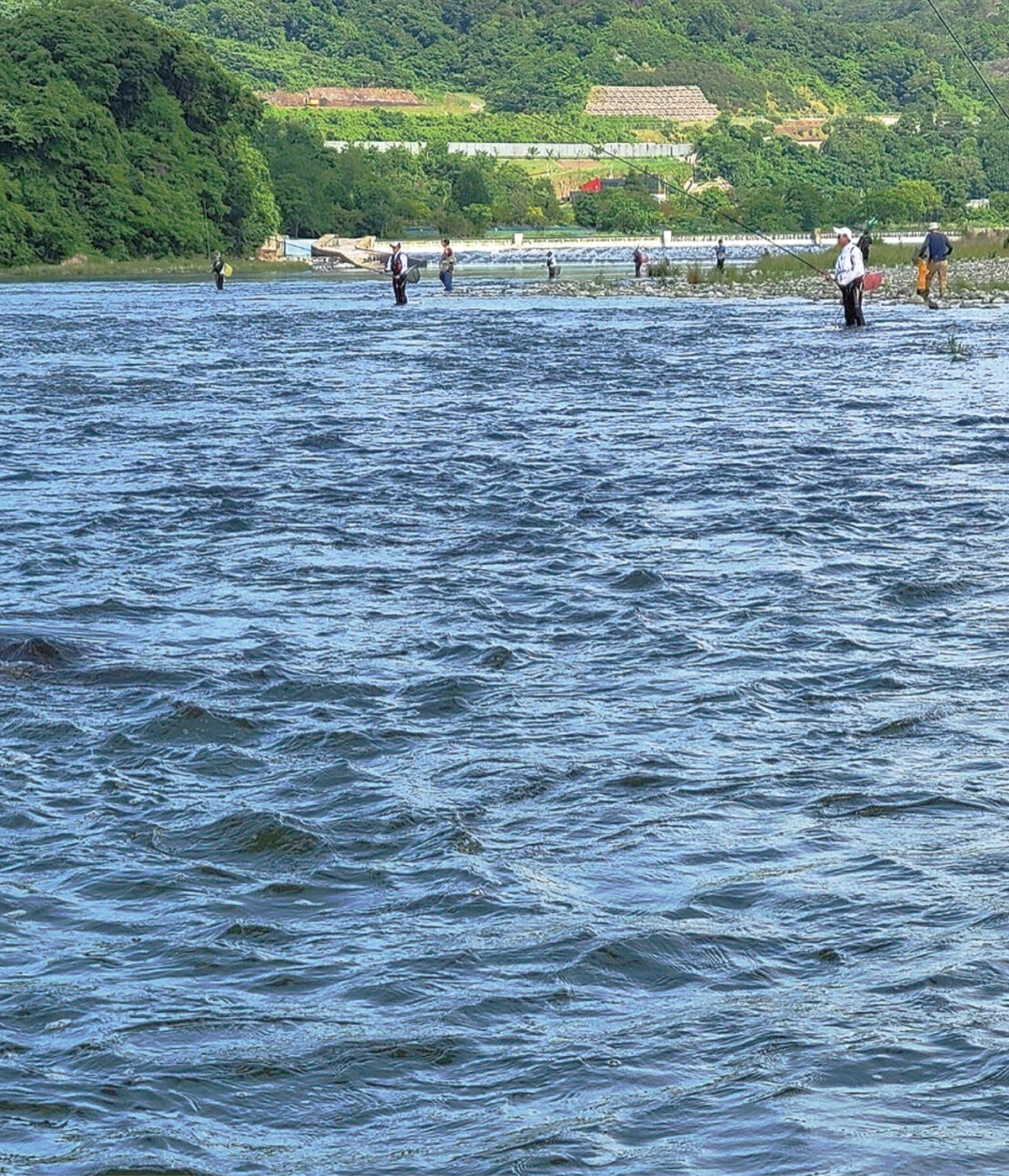 相模川第一漁協 川守る 投石で再整備 護岸工事 アユに影響 | さがみ