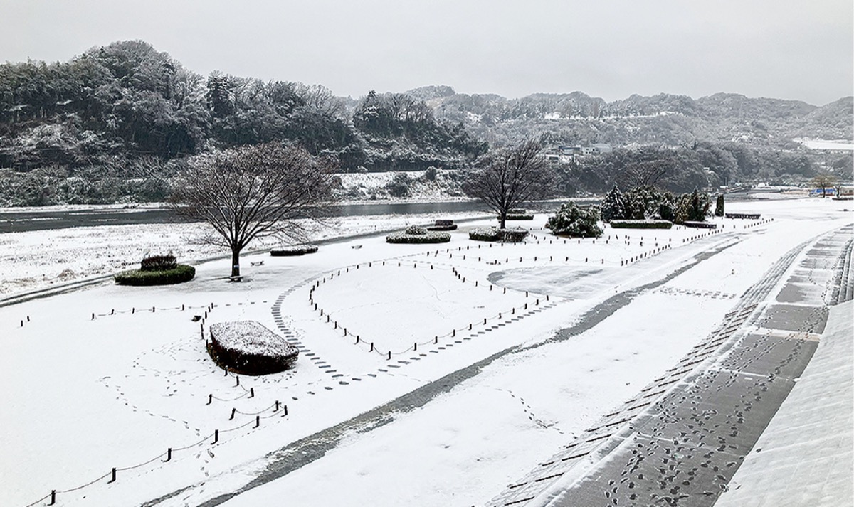 雪に覆われた相模川河川敷。高田橋付近（10日午後４時頃）