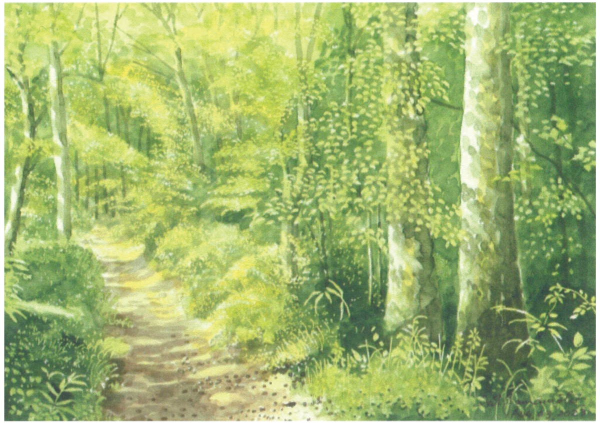 3日から 相模原の風景ずらり サムヤマモトさんの個展 | さがみはら