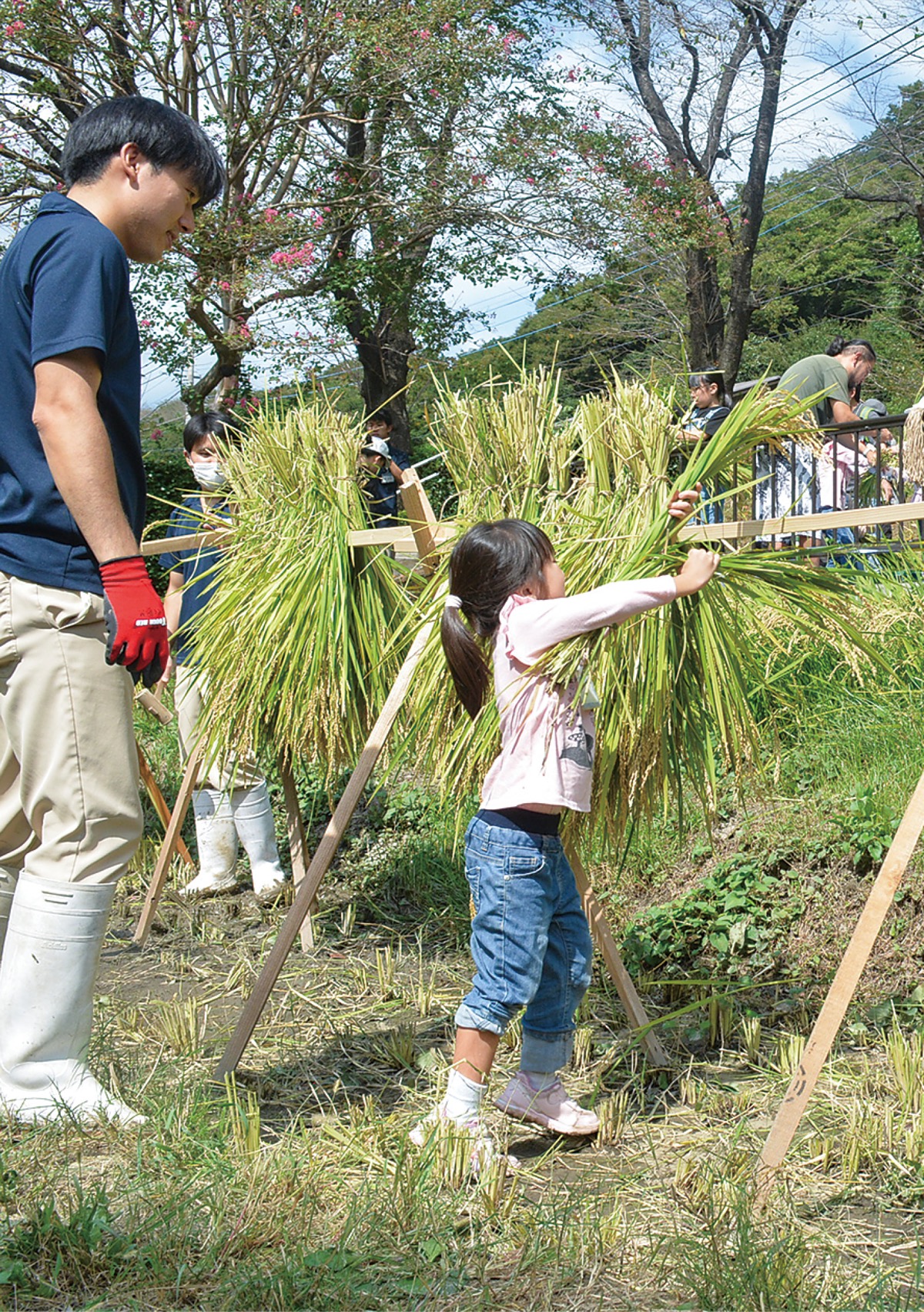 米一粒の大切さ学ぶ