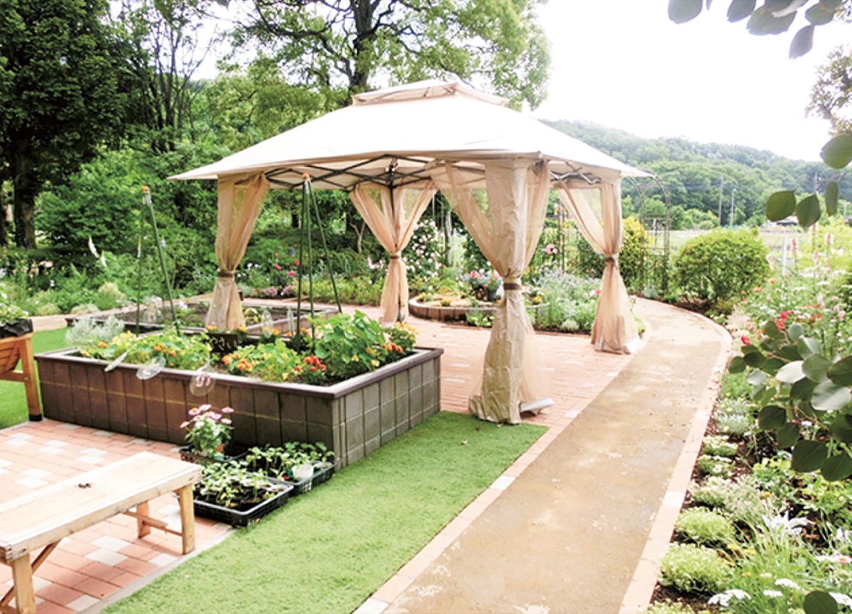 上溝で秋の庭と食を堪能