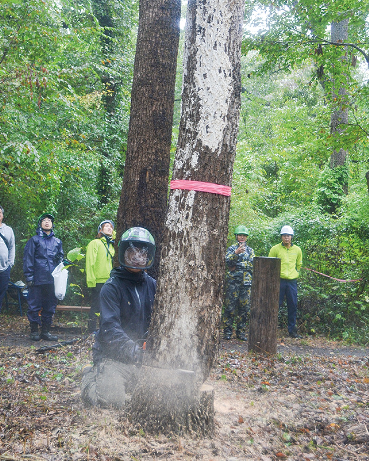 憩いの森を市民の手で