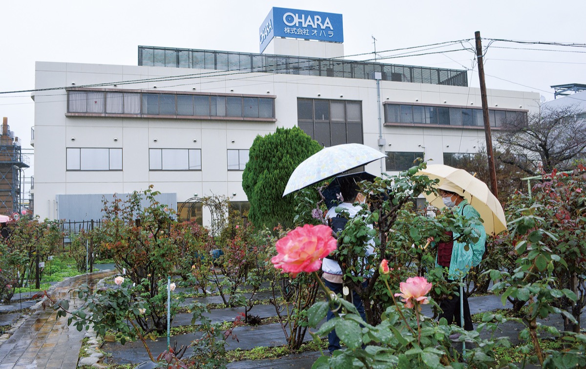 雨に濡れてなお映える