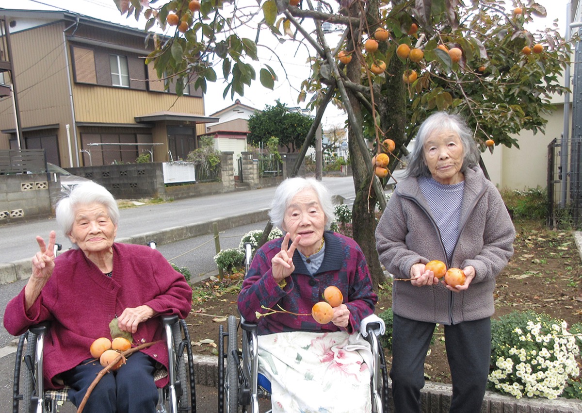 「日本の秋」収穫