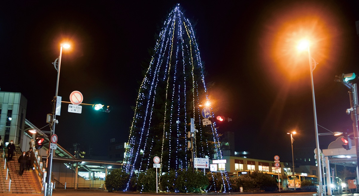 冬の輝き 今年も点灯