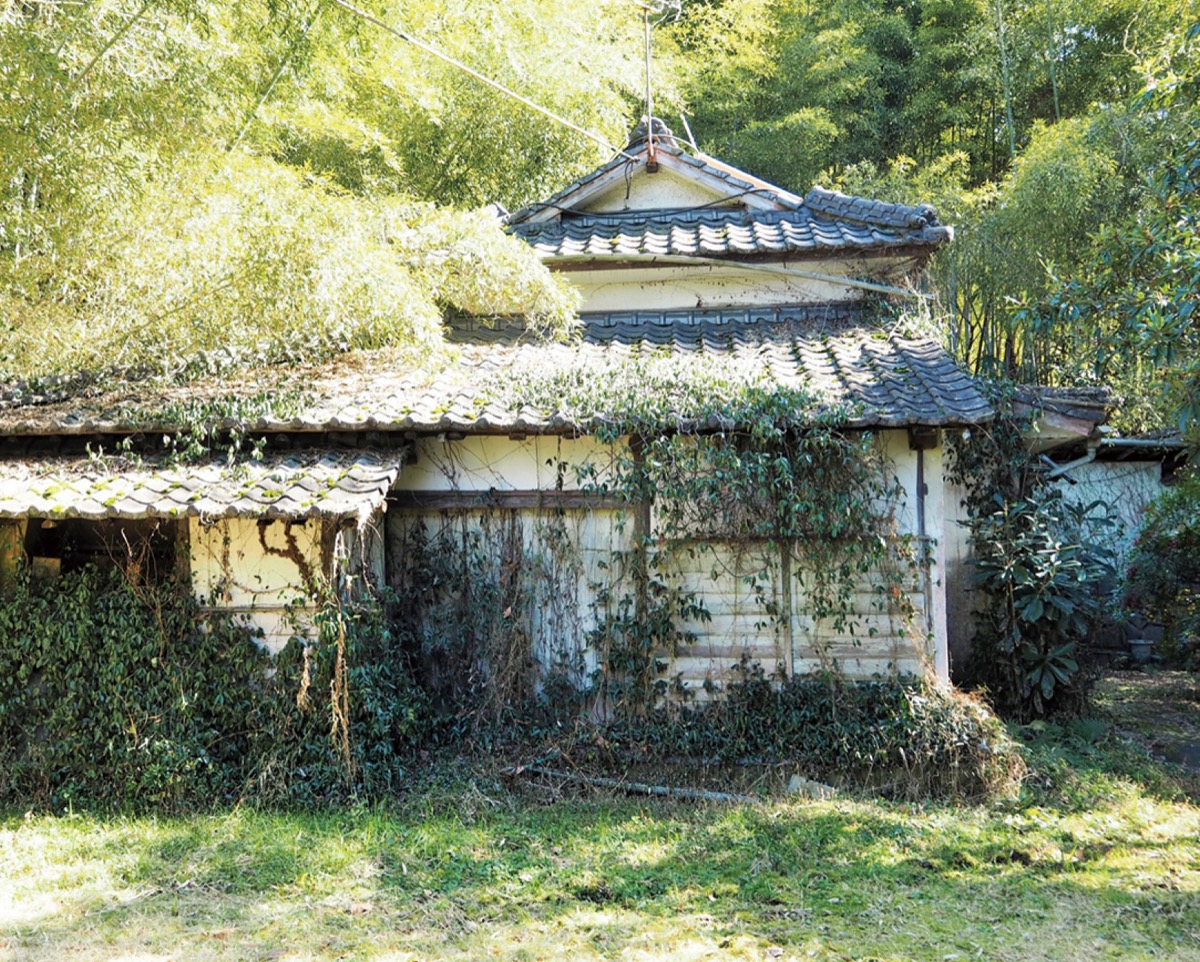 まず｢活かす方法はないか？｣