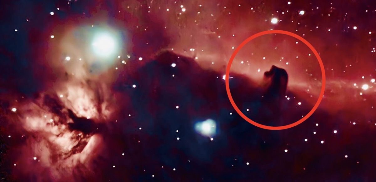 今年は午年馬頭星雲