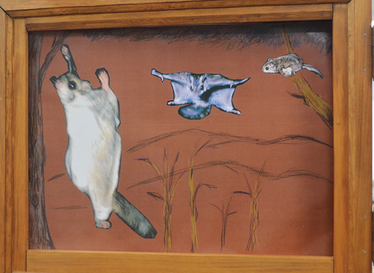 完成した新作紙芝居