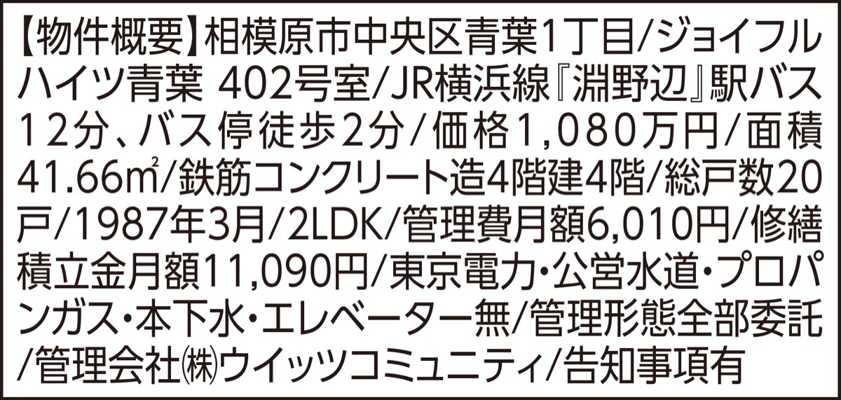 ｢英国モダン｣のリノベ物件 (写真3)