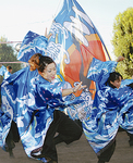 同学部のよさこいチーム（主将・鴨志田紘子さん＝人物風土記で紹介）は14日、御園5丁目秋まつりで踊りを披露