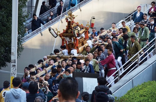 階段を上り下りする迫力ある神輿（岩井理事長提供）