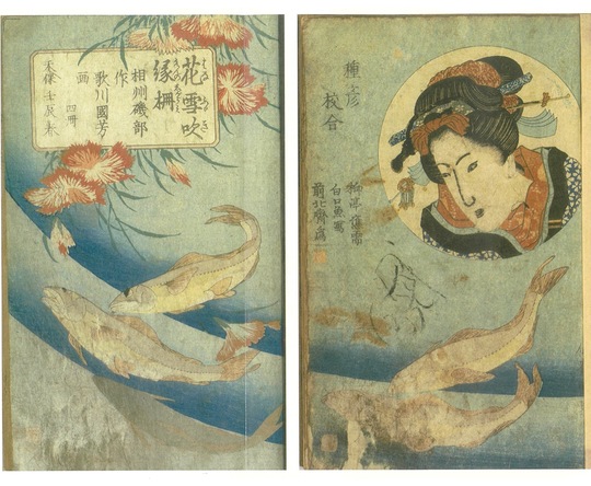 葛飾北斎が磯部名産の鮎を描いた「花吹雪縁柵」の表紙（「仙客亭柏琳翻刻全集」より引用）