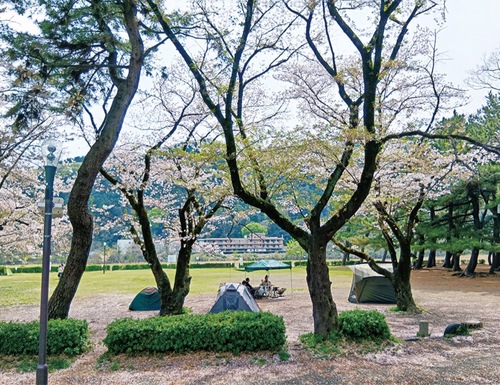 上大島キャンプ場（４月14日撮影）