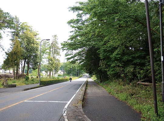 発生現場付近の市道と木もれびの森