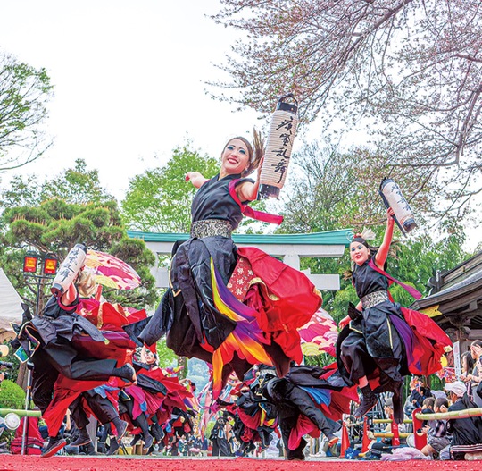 83チームが各地で演舞を披露＝主催者提供