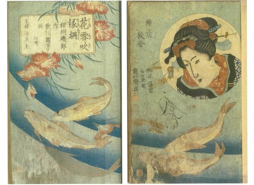 柏琳の作品「花吹雪縁柵」の表紙