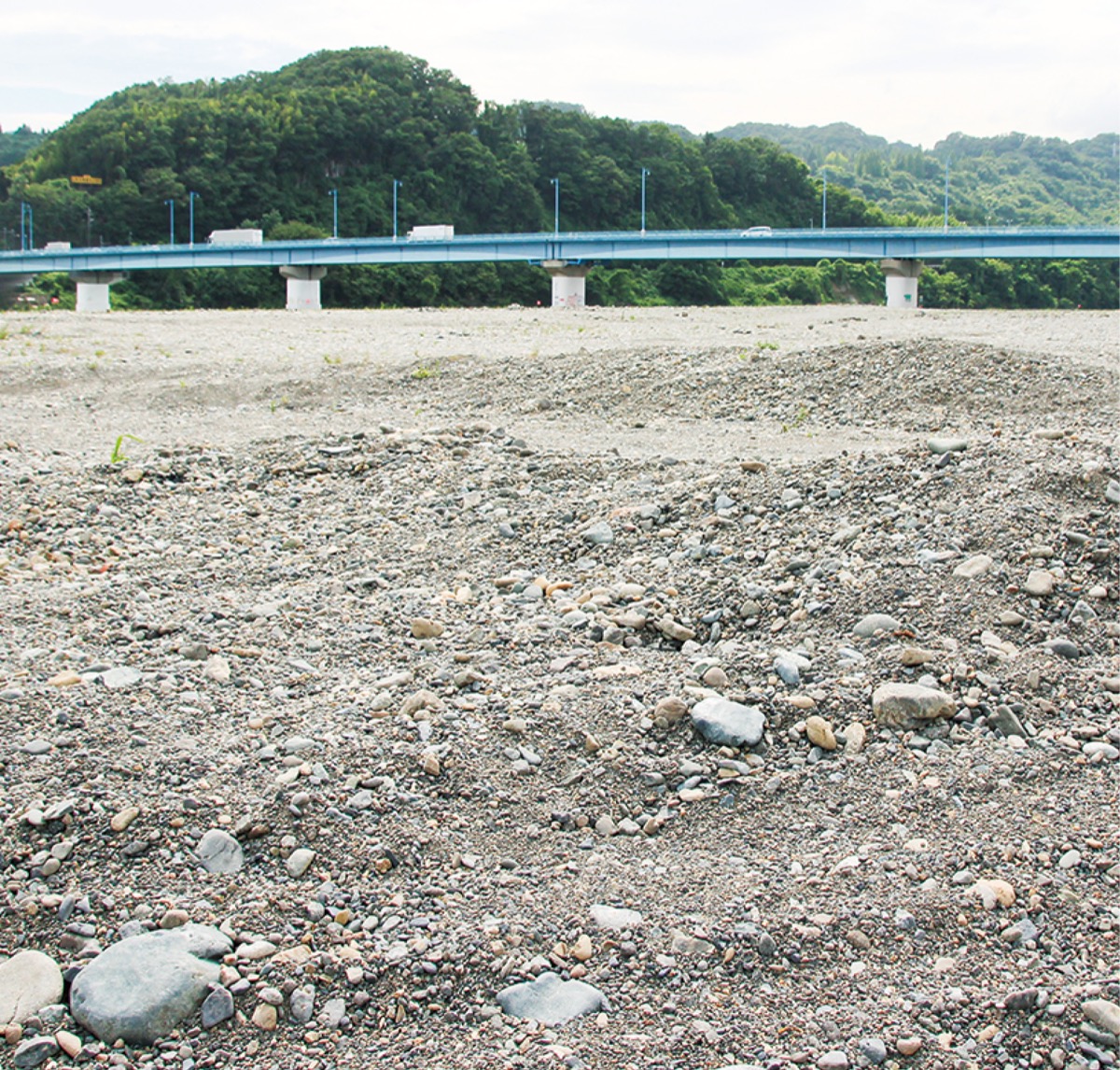 相模原納涼花火実行委 クラファン で整備費募る 高田橋周辺の河川敷 さがみはら南区 タウンニュース