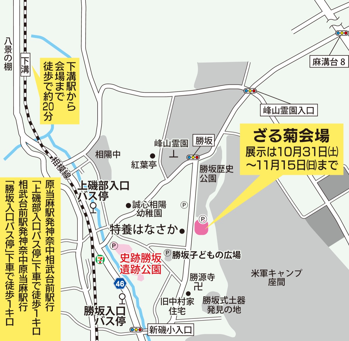 コロナに負けず、鮮やかに (写真2)