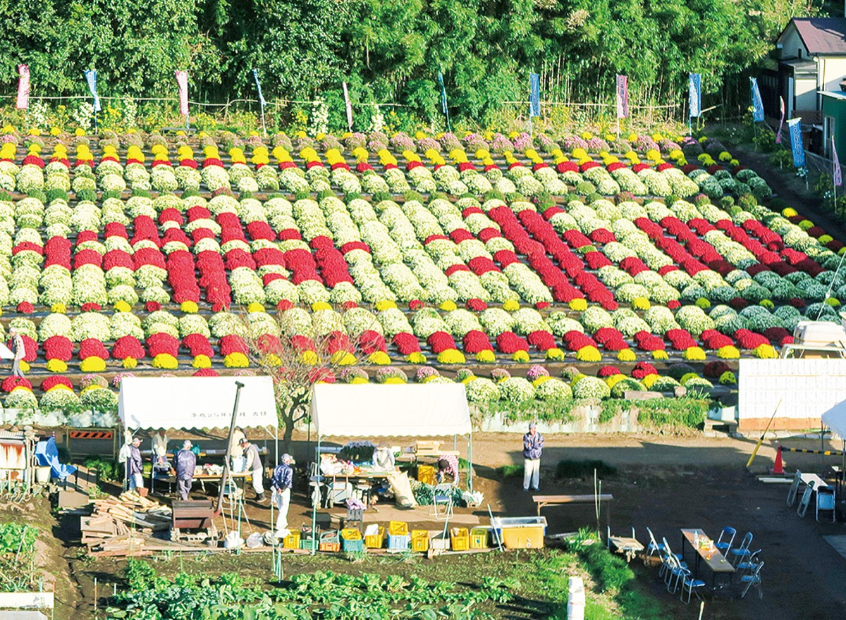 昨年は「令和」の花文字が鮮やかに描かれた