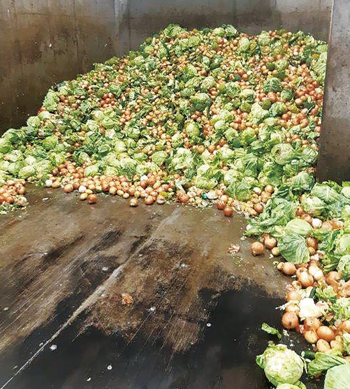 食品循環構築で社会貢献