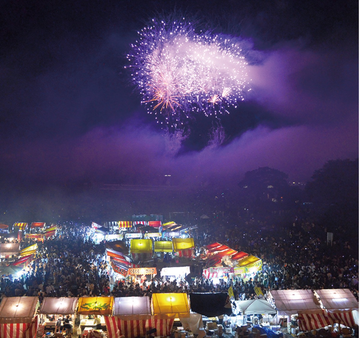 相模川高田橋で行われる相模原納涼花火大会。昨年は50回の記念大会で大変な盛り上がりを見せた。今年も８月に開催予定。