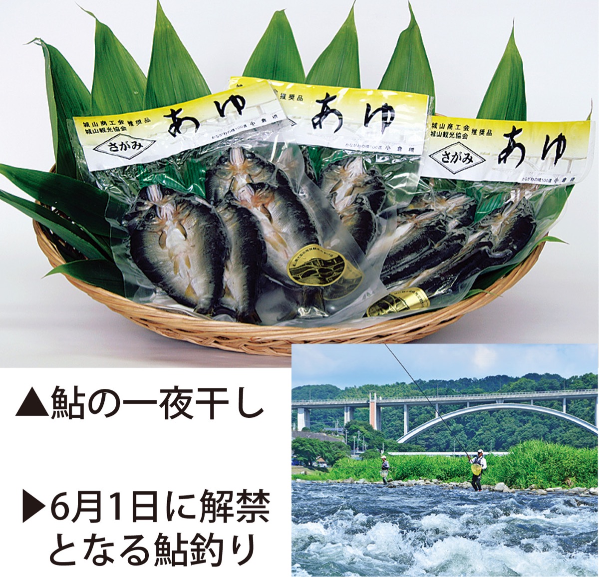 旬な｢鮎｣の一夜干し