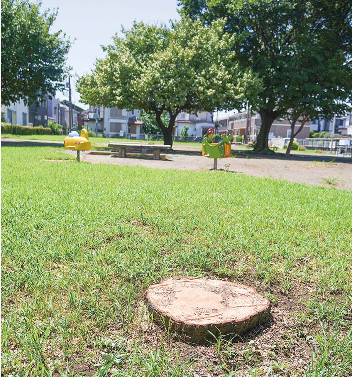 台風前に倒木対策