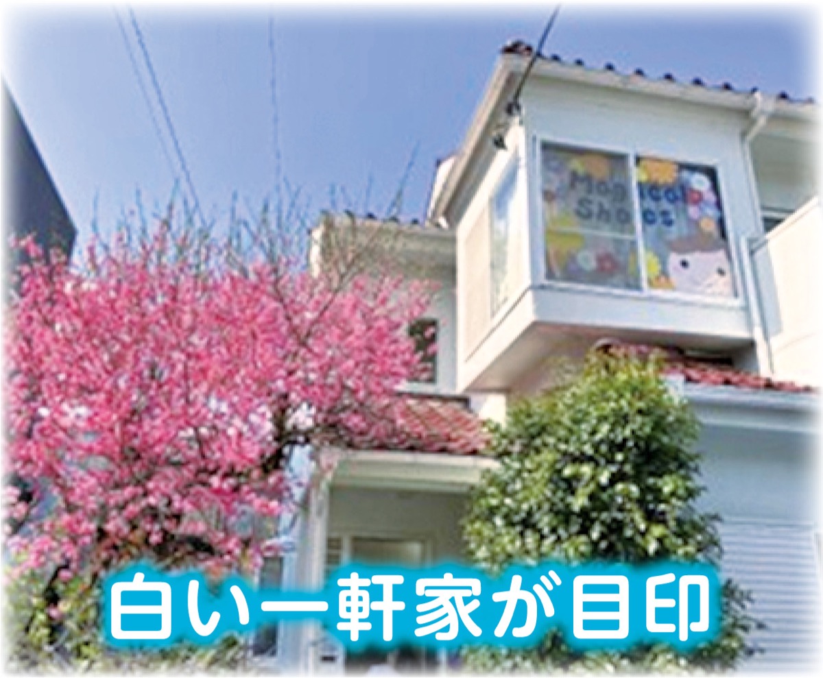 子どもと触れ合う