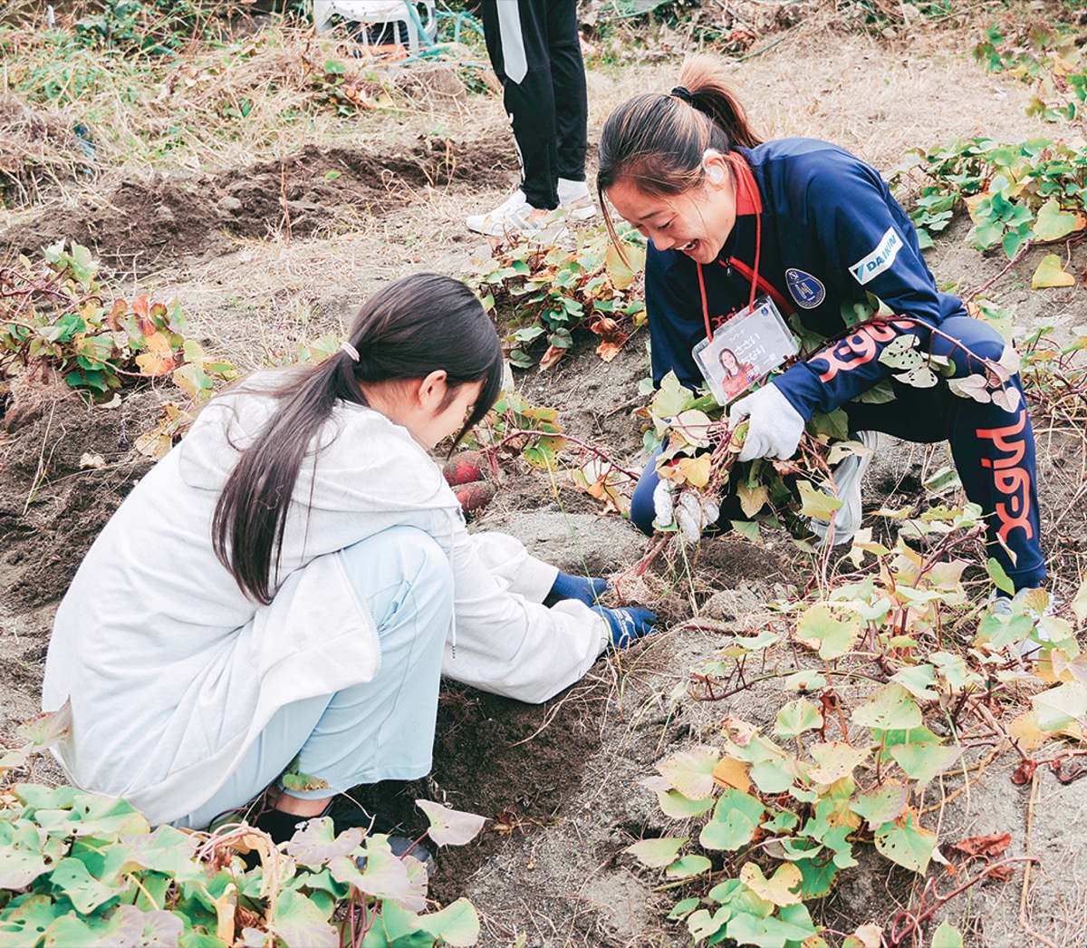 練習場の芋収穫