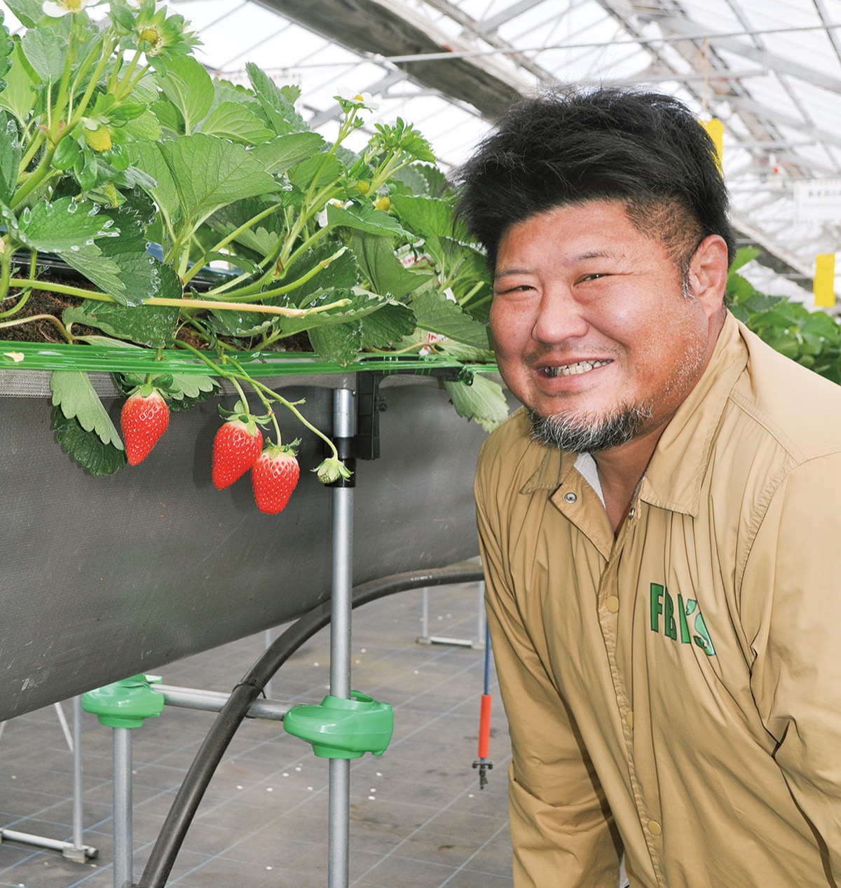 小さなハウスにワクワク凝縮