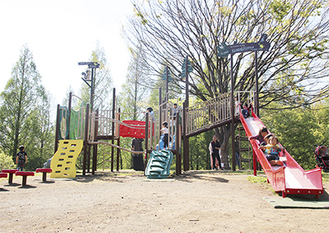 新遊具「ぐるぐる迷路と森の展望台」で遊ぶ子どもたち＝4月24日
