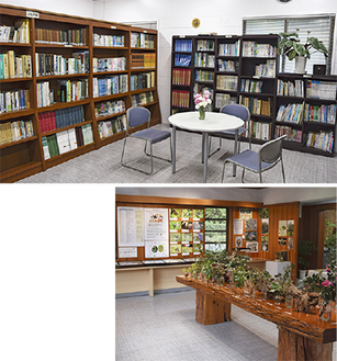約３千冊の専門書が並ぶ図書室（上）季節に合わせた展示も行われる（下）