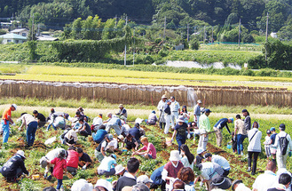 昨年も多くの人が来場した落花生収穫祭