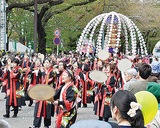 桜まつり 初の開催中止