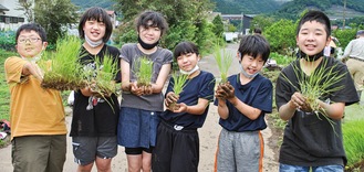 植える前の稲を手に笑顔の児童