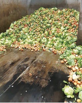 近隣の食品工場から集められた１日8〜10トンの廃棄野菜等を処理しているトキオ