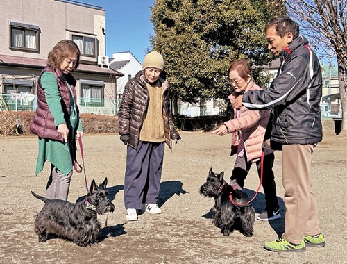 犬の散歩をかねた「ながら見守り」事業の説明も行われる（写真はイメージ）