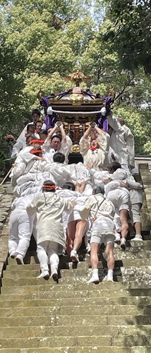 60度近い急な石段を「ヤヨー、キヨー」の掛け声で下りるさまは圧巻（裸神會提供）