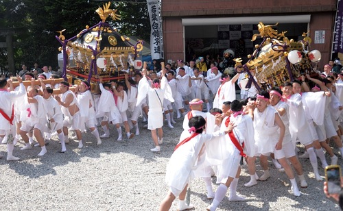 威勢の良い声と熱気に包まれた神輿渡御