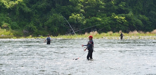 シーズン序盤で19cmの大物を釣り上げる人の姿も