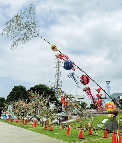 風になびく七夕飾り（6月20日撮影）