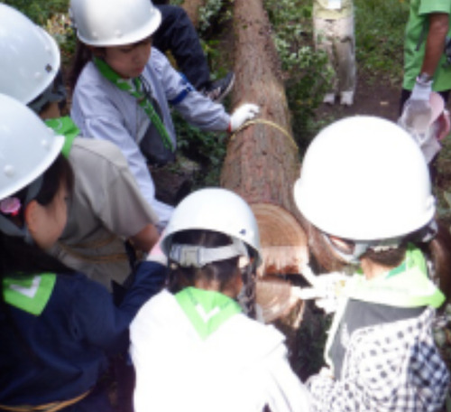 伐倒について学ぶ団員たち（相模原市まち・みどり公社提供）