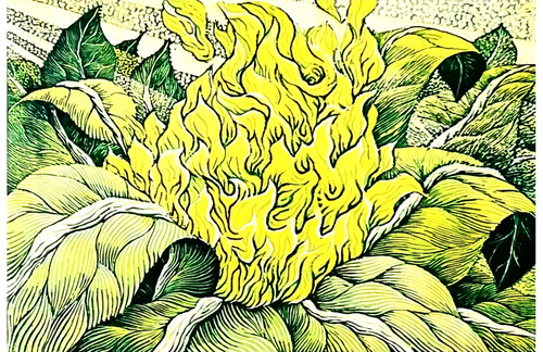 御囲さんの作品『見てほしい』