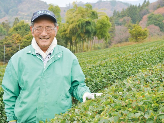 佐野川地区の上岩で手掛ける茶園の前で笑顔を見せる宮本さん
