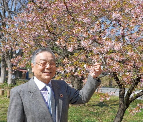 上大島キャンプ場の河津桜の前で笑顔を見せる吉村実行委員長