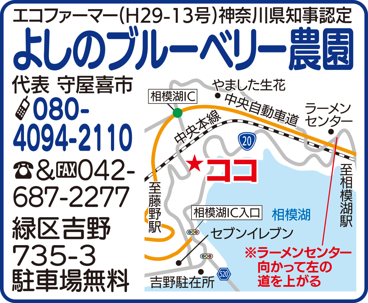 甘〜い果実が鈴なり (写真2)